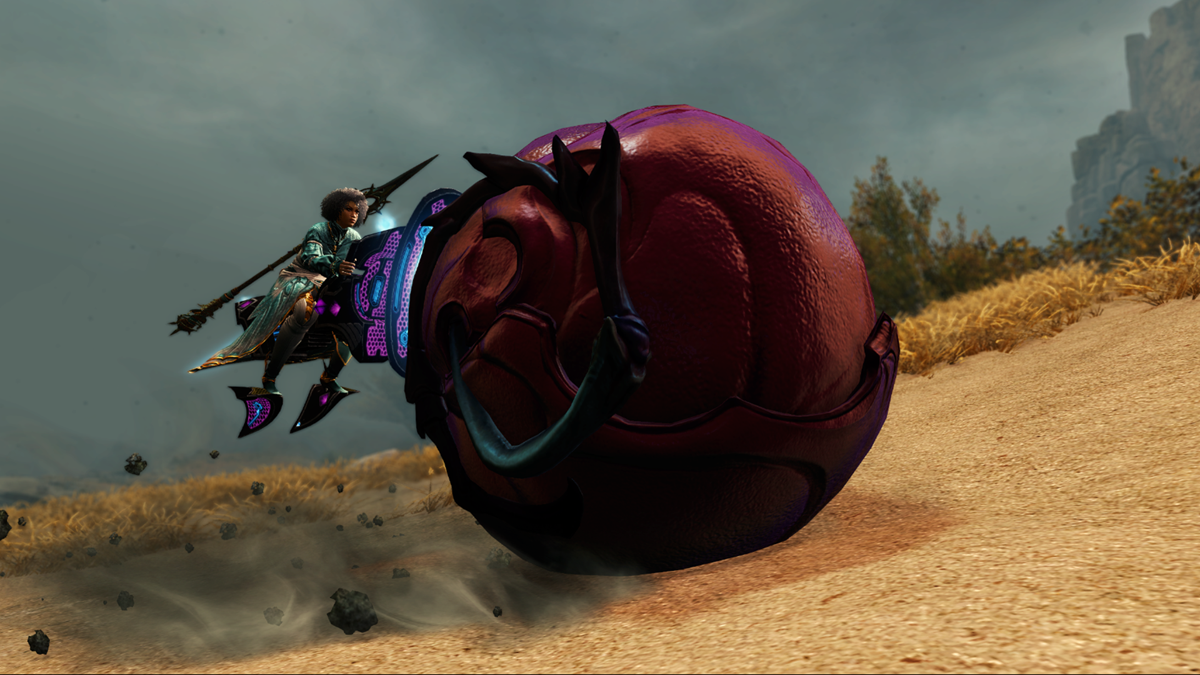 The Roller Beetle: A Familiar Friend