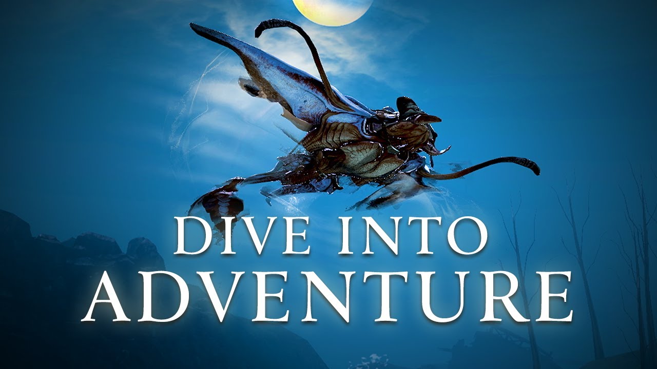 Dive into Adventure with Your Skimmer