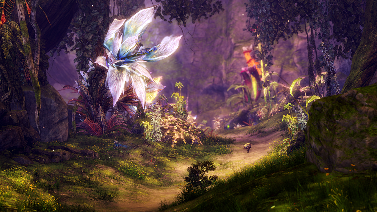 Explore the World of Guild Wars 2